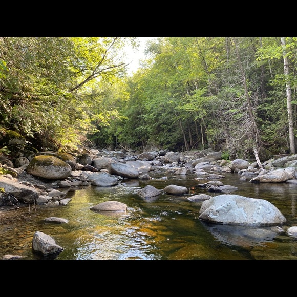 Meet your Posher, Kathryn - Picture 2 of 6